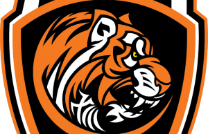 Albi Rugby League