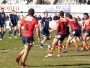 PoussieredimageMirouzeGuillaume1702201310