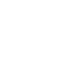 LOGO-100-2016-FREQUENCE-TOULOUSE-BLANC